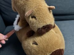 -LES ELITES 英集荟(南京西路店)