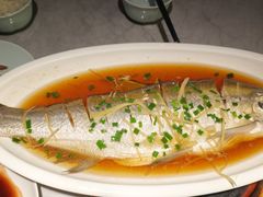 清蒸大白鱼-小峰饭店·35年锡帮菜