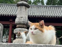 -四门塔风景区