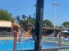 -上海玛雅海滩水公园