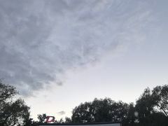 -枫花园汽车电影院(朝阳公园店)