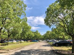 场地-嘉北郊野公园北游客中心-地上停车场