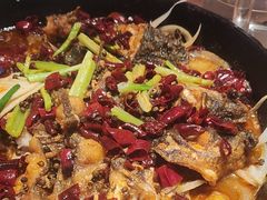 -老板恋上鱼(恒隆广场店)