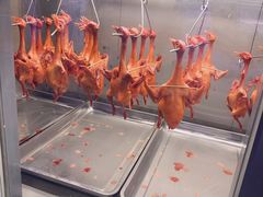 -鸽子侯·家宴·平价海鲜(绿地店)