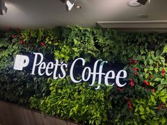 景观位-Peet's Coffee皮爷咖啡(大学路店)