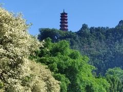 -南沙蒲洲花园