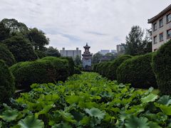 -四川大学(华西校区)