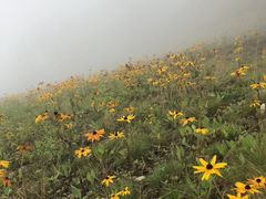 -丹东天桥沟景区