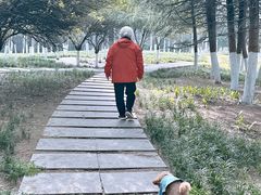 -唐城墙遗址公园