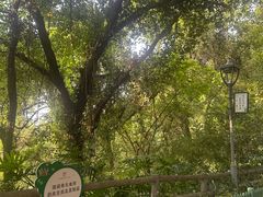 -金鸡山公园
