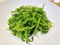 -洋洋中餐馆·SINCE 1997(信投店)