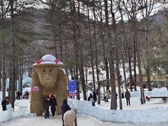 -洛阳白云山景区