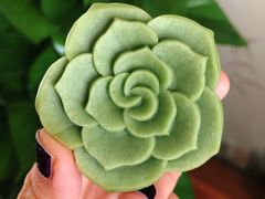 元气沁柠芝士月饼-星巴克(人民公园店)
