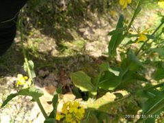 -天宁凯利时尚餐厅