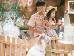 -杭州开元森泊度假乐园