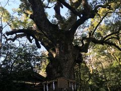 -热田神宫
