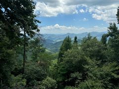 -莫干山风景区