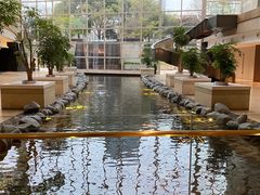 -上海外滩茂悦大酒店