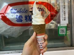 -富豪雪糕车流动点(尖沙咀店)