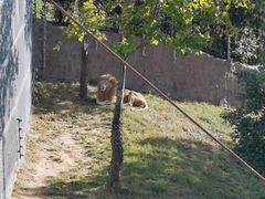 -西霞口神雕山野生动物世界