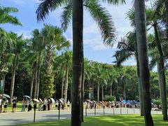 -深圳仙湖植物园