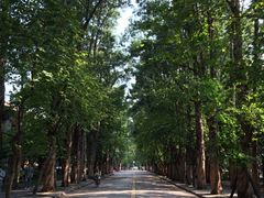 -中山大学学者灵芝(园南路店)