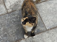 -平遥古城