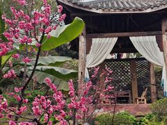 -南山植物园