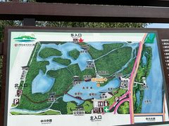 -大亚湾红树林城市湿地公园