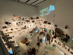 -墨尔本博物馆(Melbourne Museum)