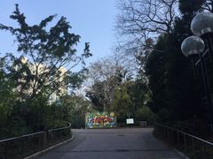 -九龙公园