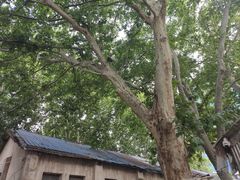 -金陵花卉交易市场