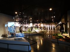 -北京周口店北京人遗址博物馆