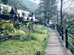 -Local泰莲庭(虹鳟鱼店)