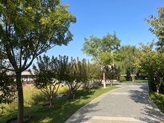 -西海子公园