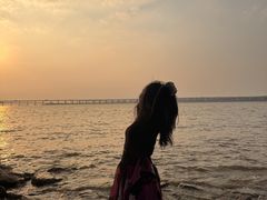 -宝安西湾红树林湿地公园