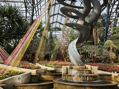-南山植物园
