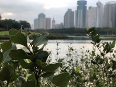 -万绿园