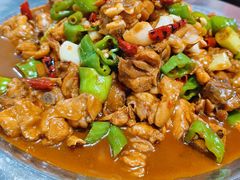 -俭寨大盘鸡·手抓肉·烧烤新疆菜(乌苏路店)