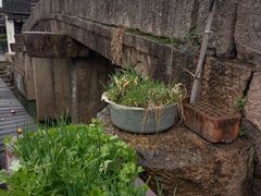 -丝绸小镇荻港古村