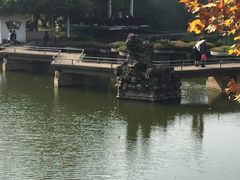 -雨湖公园