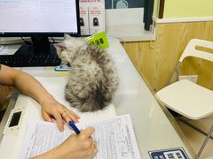 -瑞鹏宠物医院犬猫全科(真大分院)