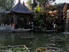 -碧江金楼