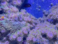 -成都浩海立方海洋公园