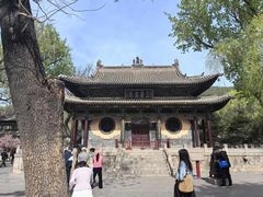 -晋祠公园