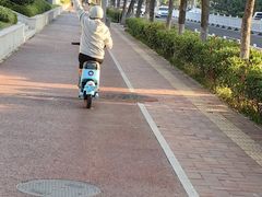 -日照海滨国家森林公园