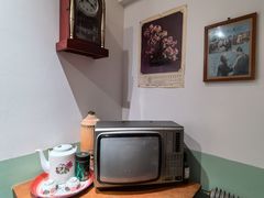 -二胖家铁锅炖大鹅(双井店)