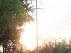 -燕郊植物园