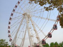 -顾村公园