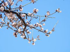 -广州市流溪河国家森林公园